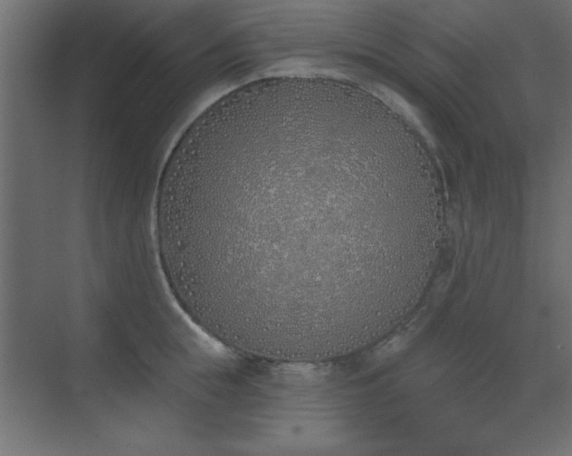 X0000073480855200607311158