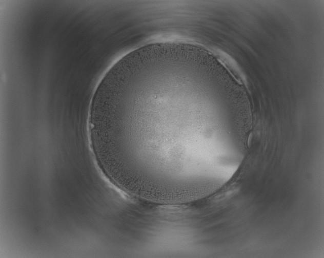 X0000073480863200607311159