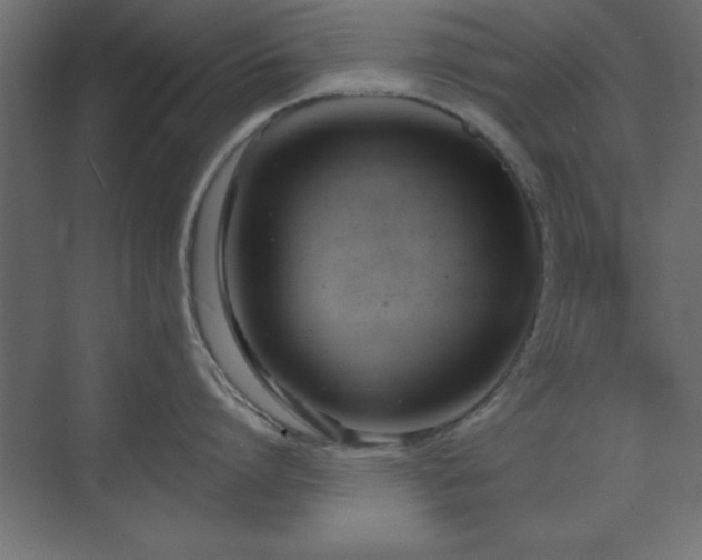 X0000073480864200607311159