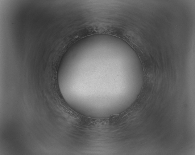 X0000073480865200607311158