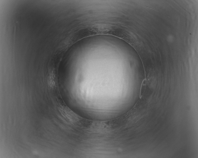 X0000073480866200607311158