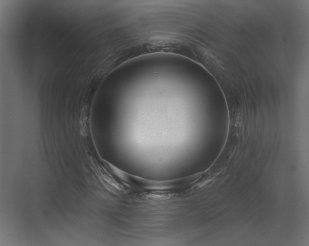 X0000073480868200607311158