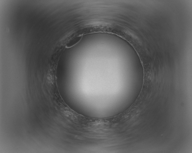 X0000073480869200607311158