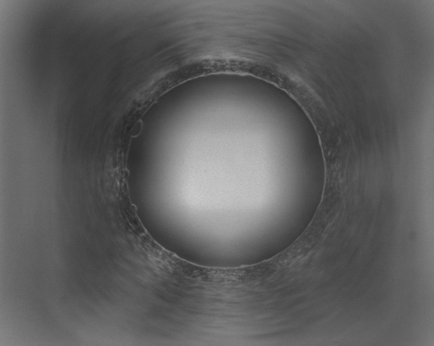 X0000073480870200607311158