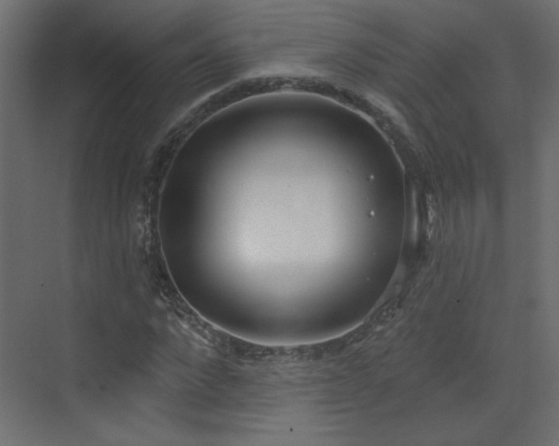 X0000073480872200607311158