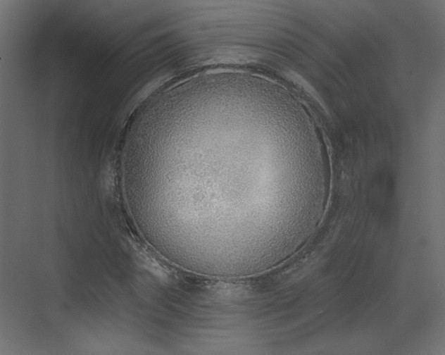 X0000073480874200607311158