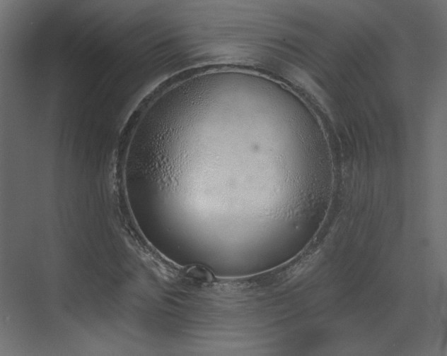 X0000073480875200607311158