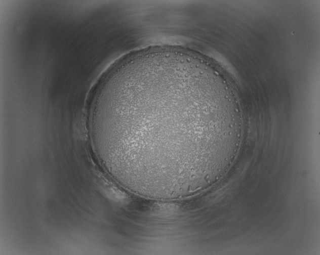 X0000073480878200607311158