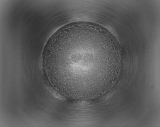 X0000073480879200607311158