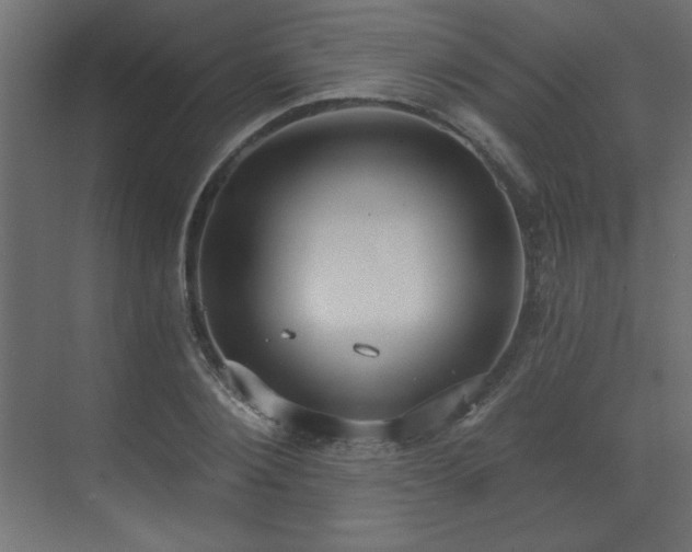 X0000073480884200607311158