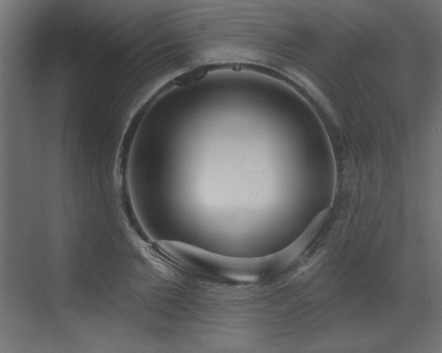 X0000073480885200607311158