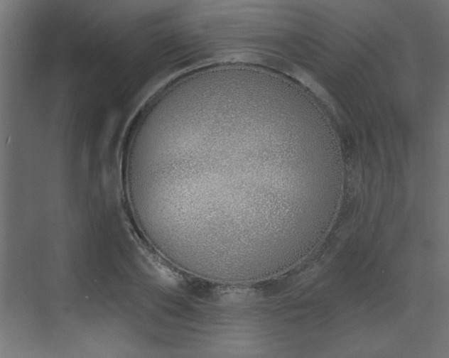 X0000073480886200607311157