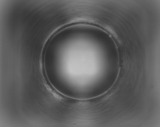 X0000073480888200607311157