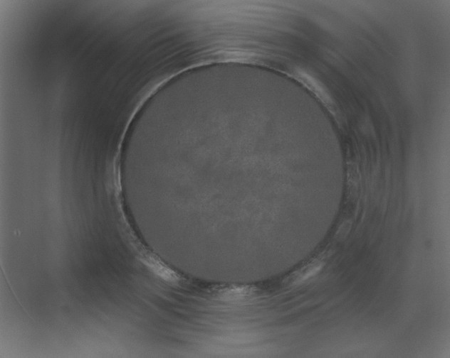 X0000073480891200607311157