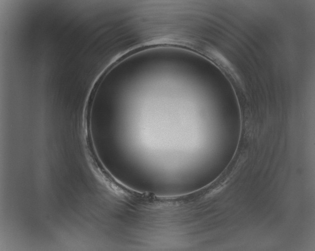 X0000073480892200607311157