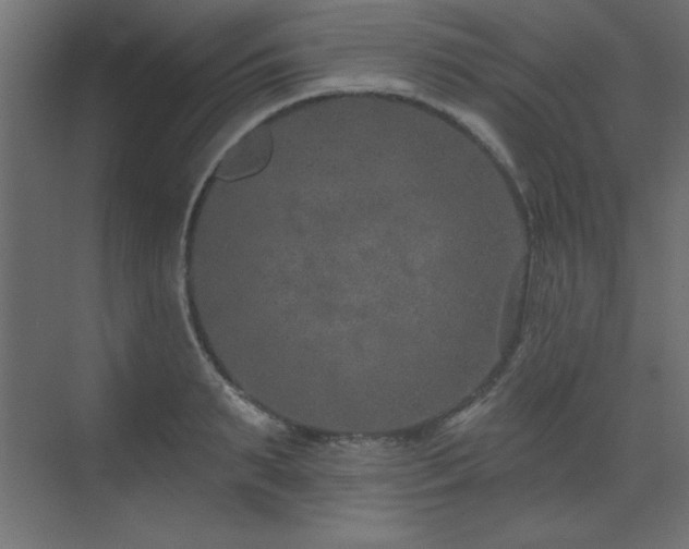 X0000073480895200607311157