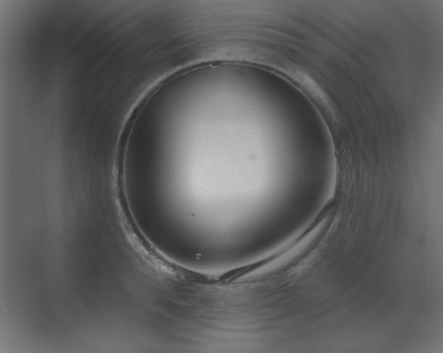 X0000073480896200607311157