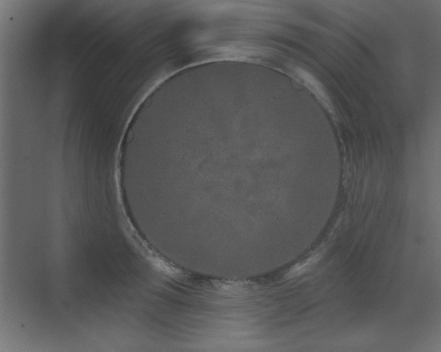 X0000073480899200607311157