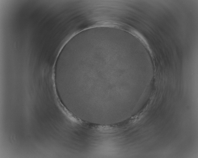 X0000073480907200607311157