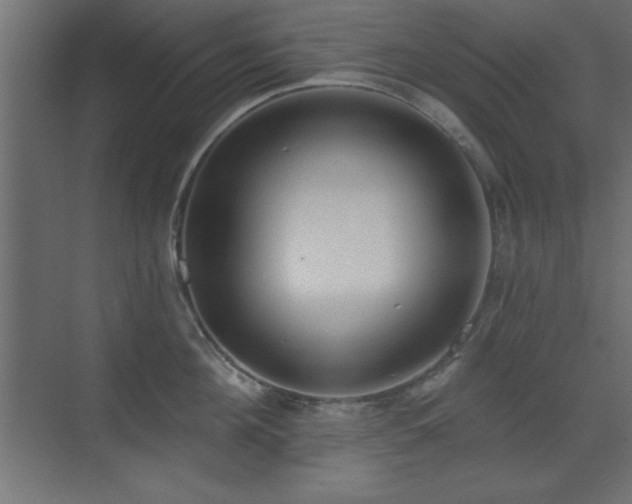 X0000073480908200607311157