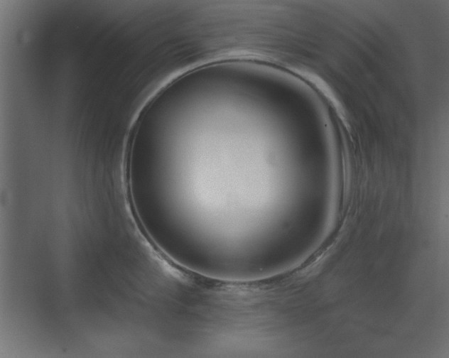 X0000073480910200607311157