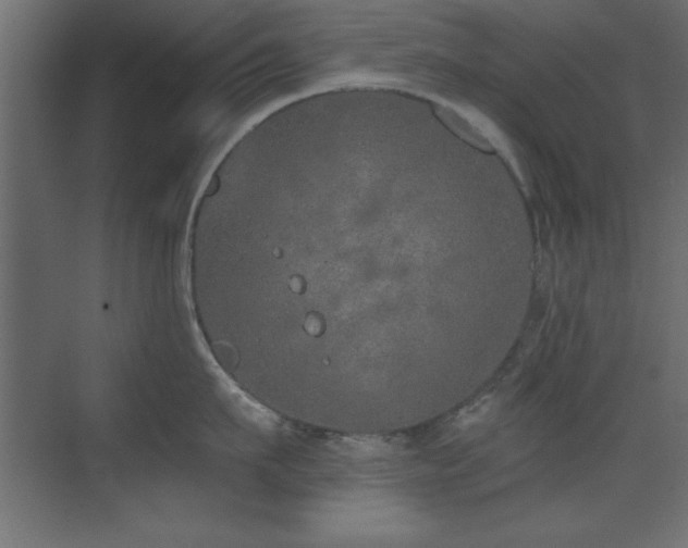 X0000073480911200607311157