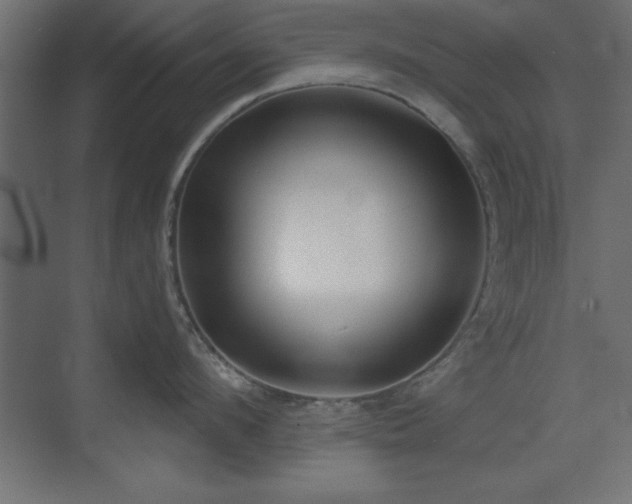 X0000073480912200607311157