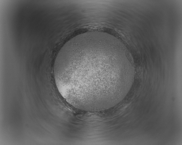 X0000073480913200607311156