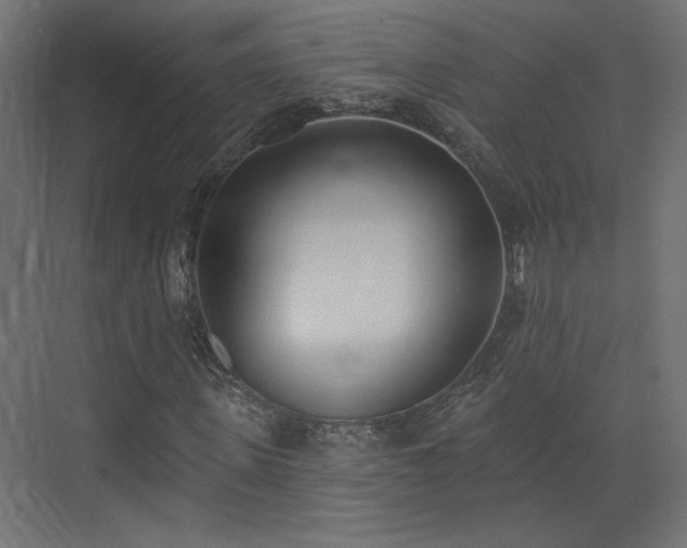 X0000073480915200607311156