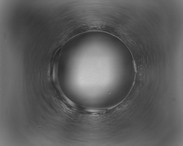 X0000073480916200607311156