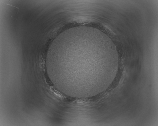 X0000073480917200607311156