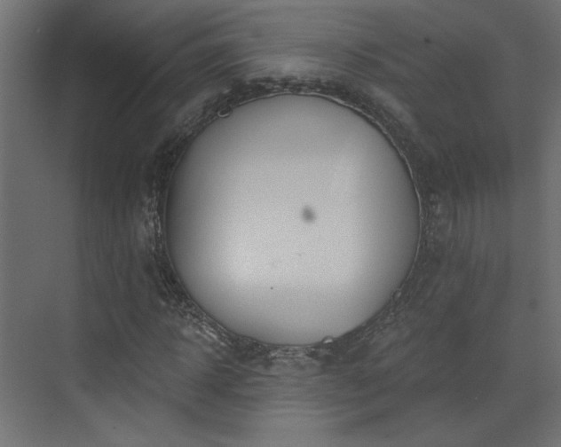 X0000073480918200607311156