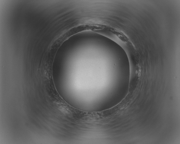 X0000073480919200607311156