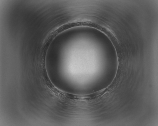 X0000073480920200607311156