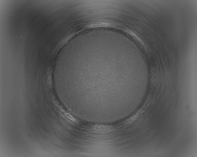 X0000073480921200607311156