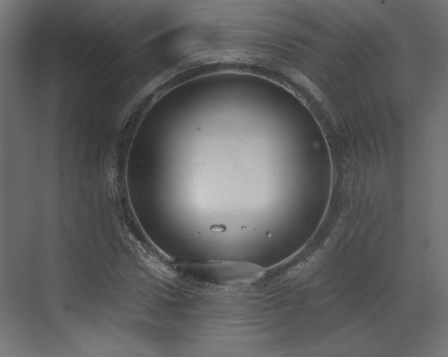 X0000073480922200607311156