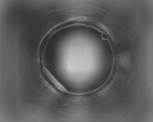 X0000073480923200607311156