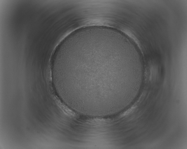 X0000073480925200607311156