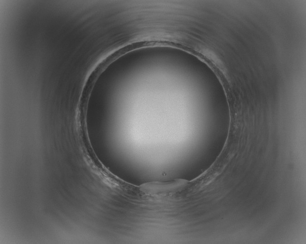 X0000073480928200607311156