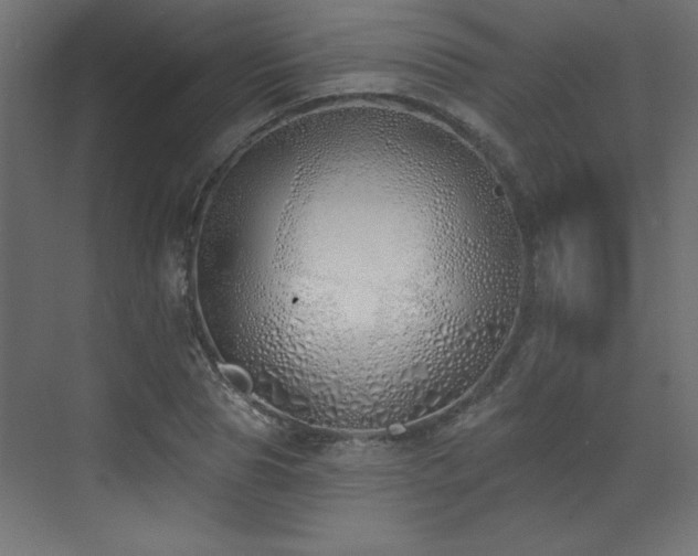 X0000073480929200607311157