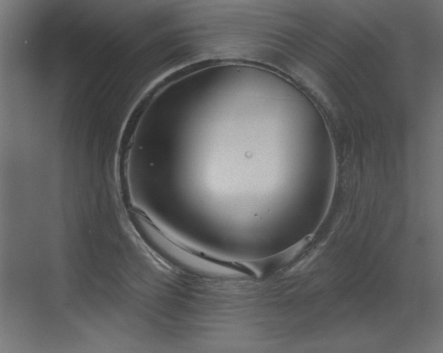 X0000073480932200607311157