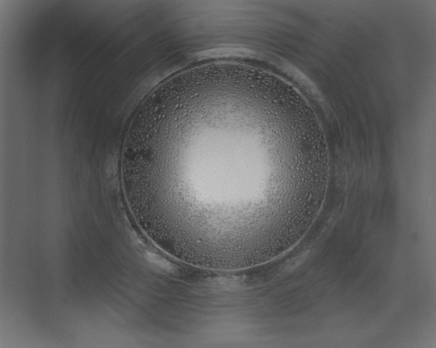 X0000073480937200607311157