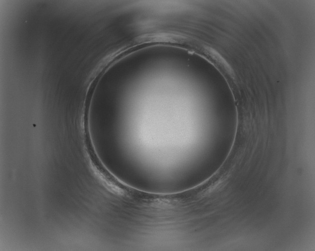 X0000073480938200607311157