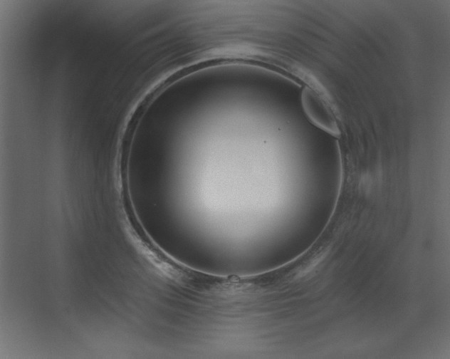 X0000073480939200607311157