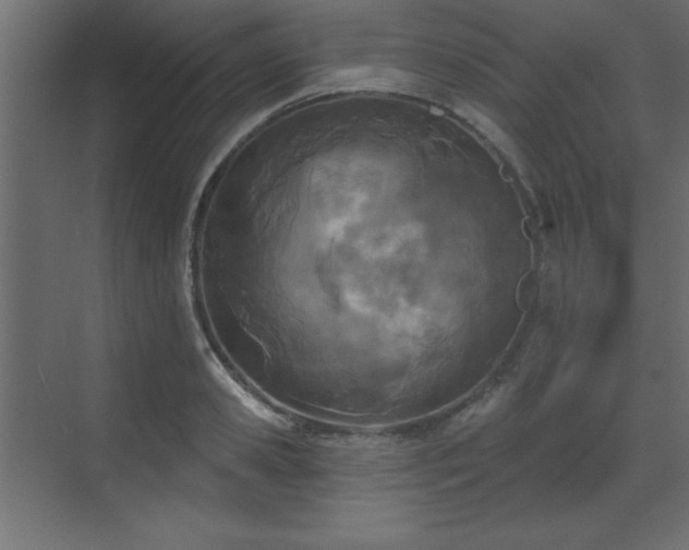 X0000073480941200607311157