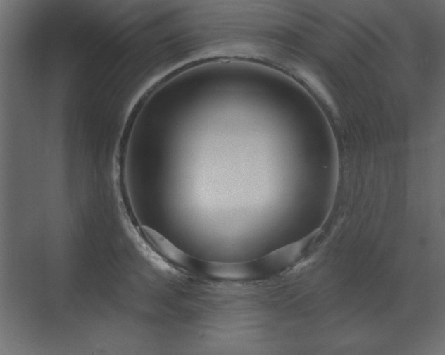 X0000073480944200607311157