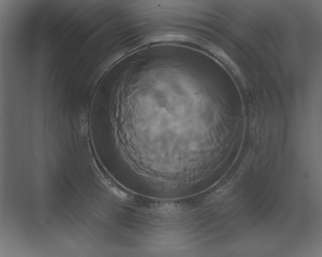 X0000073480945200607311157