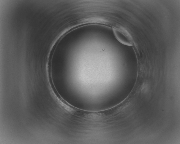 X0000073480947200607311157