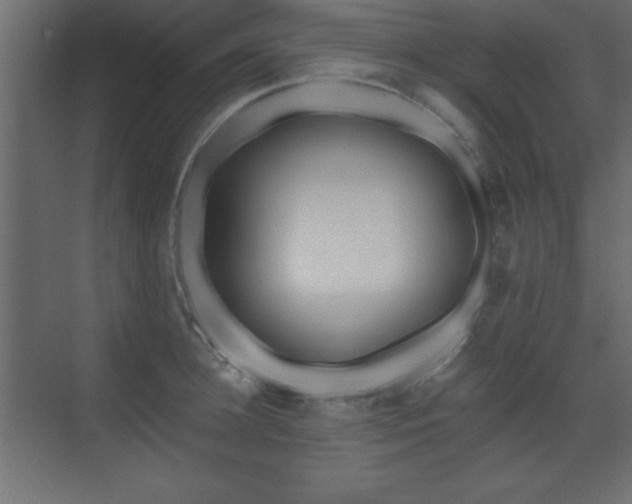 X0000073480948200607311157