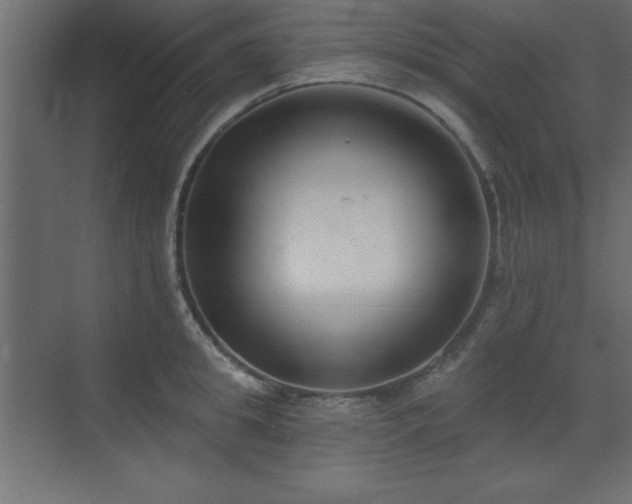 X0000073480949200607311157